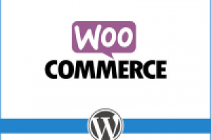 WordPress+Woocommerce