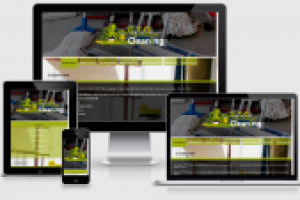 Клининговая компания