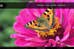 Блог - фотошкола