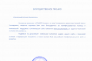 Ассурье Консалт