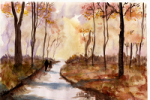 Работа 3122011