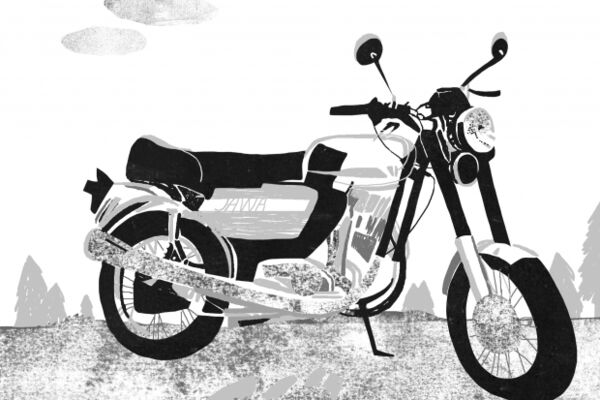 img3391829.png