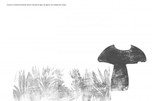 img3391871.png