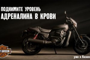 Статичный интернет баннер для Harley Davidson