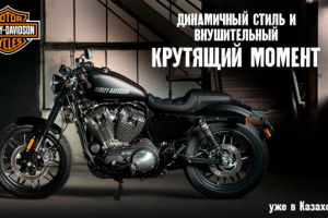 Статичный интернет баннер для Harley Davidson