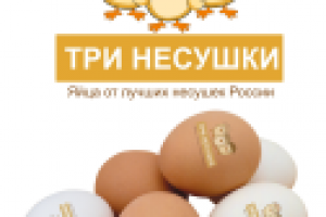 Работа 2873658