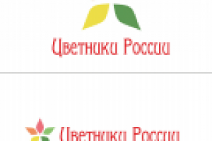 Работа 2873656