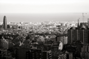 Работа 2447828