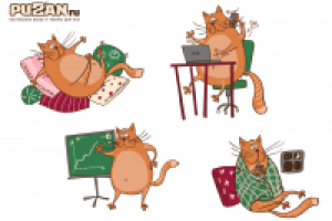 Кот-талисман для конкурса