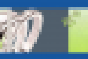 макет наружного оформления витрины ювелирного магазина