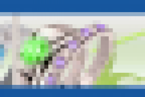 Разработка оформления витрины