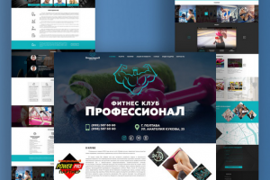 Дизайн сайта финтес клуба "Профессионал"