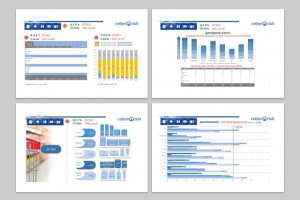 Презентация программы Развития