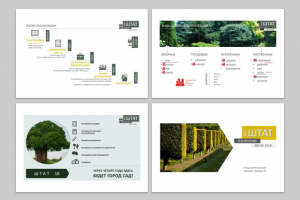 Проект Озеленения придворовой территории