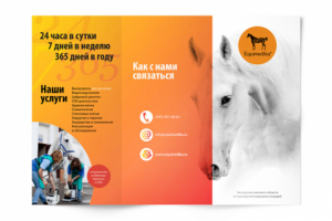 Лифлет для конной медицины