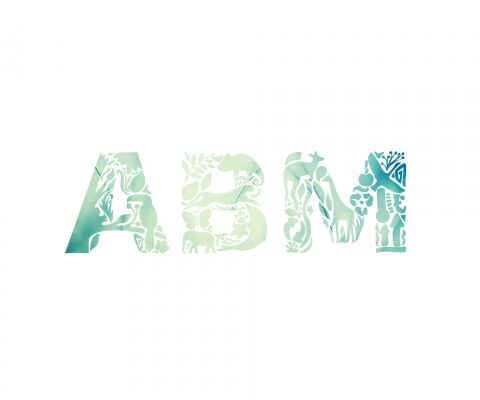 img3379205.png