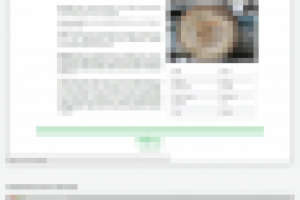 Сайт эквадорской компании, занимающейся поставками бамбука.