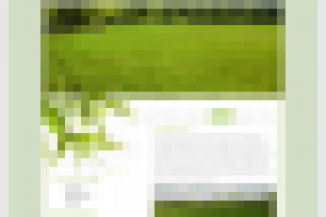 Сайт компании Владземстрой