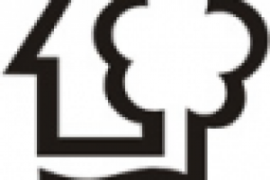 Логотип города Плес