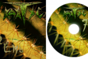 Макет Демо-диска для гр. Кактус