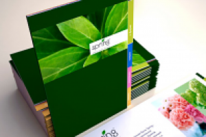 Работа 3110717