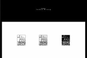 Работа 3111204