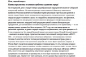 Расшифровка интервью 30 мин