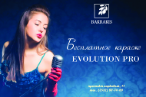 Вывеска Караоке