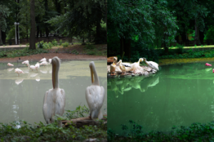 Художественная ретушь