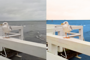 Художественная ретушь