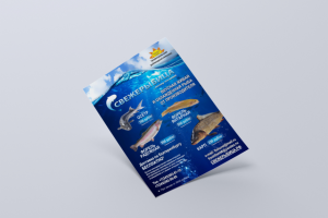 Листовка Свежерыбица