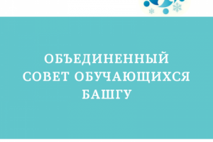 Инфографика о выборах (1)
