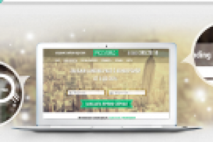 ProSperius. Разработка лендингов