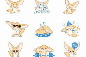 феники для "аск"