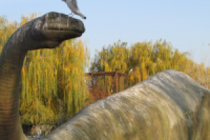 Работа 2391089