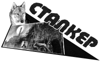 коллаж Сталкер