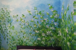 цветущая яблоня