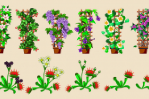 Вьющиеся растения и мухоловка, Цветочная Усадьба