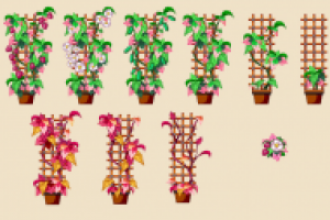 Стадии роста, Цветочная Усадьба