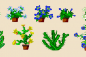 Цветы и кактусы, Цветочная Усадьба