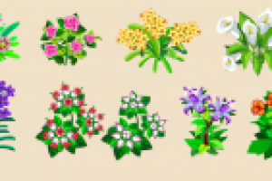 Цветы, Цветочная Усадьба