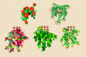 Ампельные, Цветочная Усадьба