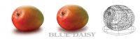 img113907.png