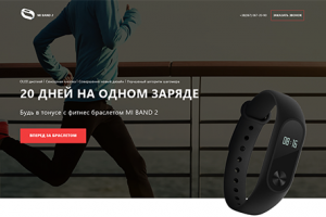 Гаджет Mi Bend 2