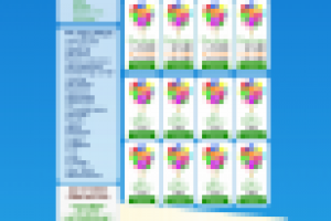 Доставка воздушных шаров с гелием 1