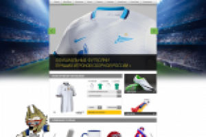 Интернет-магазин спортивных товаров 2