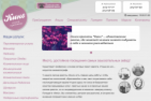 Аудит сайта Salonkino.ru