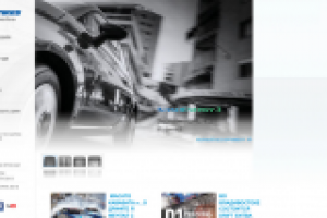 Консультация по контексту компании Toyo