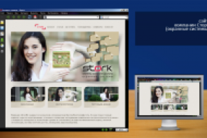 Сторк (охранные системы)