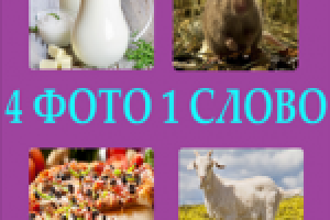 4 Фото 1 Слово